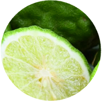 Bergamot