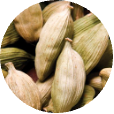 Cardamom