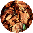 Cedarwood