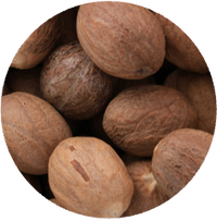 Nutmeg