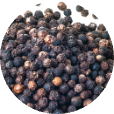 Pepper