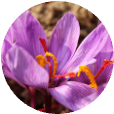 Saffron